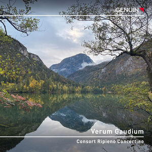 Verum Gaudium , Consort Ripieno Concertino