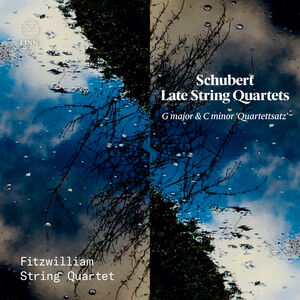 Late String Quartets , Fitzwilliam String Quartet