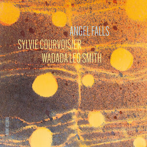 Angel Falls , Sylvie Courvoisier