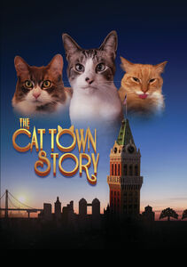 The Cat Town Story
