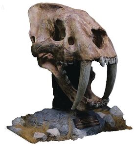 Wonders of the Wild - Smilodon Skull Fossil Polyresin Statue