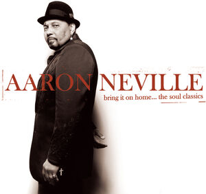 Bring It on Home , Aaron Neville
