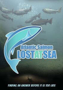 Atlantic Salmon - Lost At Sea