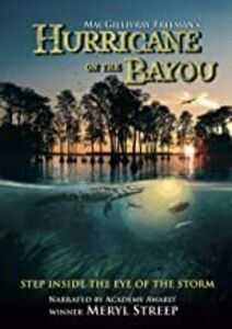 Hurricane On The Bayou