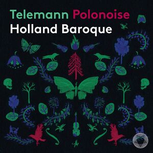 Polonoise , Holland Baroque Nosky