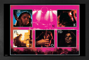 Pink Floyd - Live - 11x17 Framed Print With Gel-Coat 