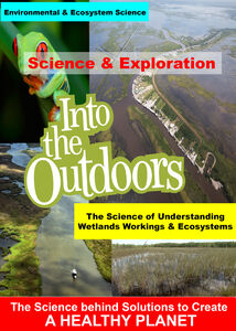 The Science of Understanding Wetlands Workings & Ecosystems