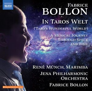 In Taros Welt , Fabrice Bollon