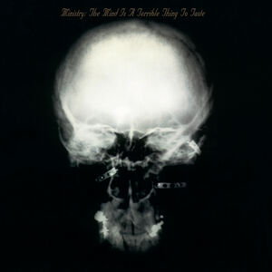 The Mind Is A Terrible Thing To Taste , Ministry