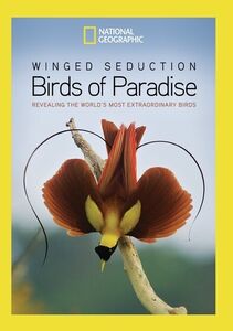 Winged Seduction: Birds Of Paradise