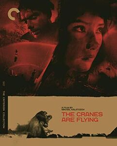 The Cranes Are Flying (Criterion Collection) , Alexander Shvorin