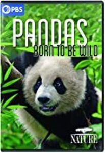 NATURE: Pandas - Born to Be Wild