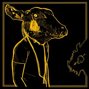 Roll The Bones X , Shakey Graves