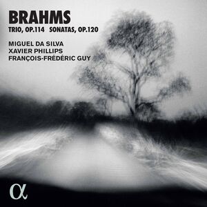 Trio 114 / Sonatas