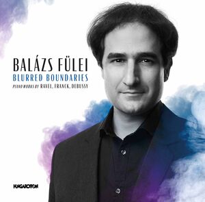 Blurred Boundaries , Balazs Fulei