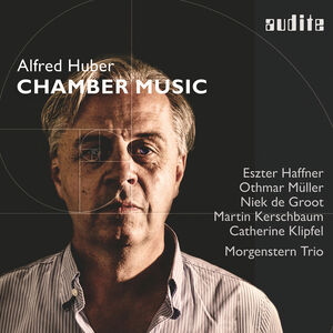 Chamber Music , Niek de Groot
