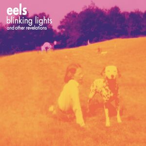 Blinking Lights And Other Revelations , Eels