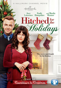 Hitched for the Holidays , Joey Lawrence
