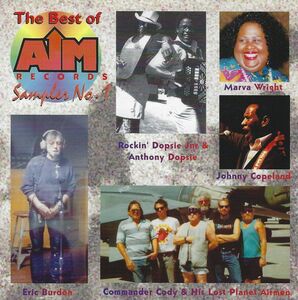 Best of Aim Artists /  Various