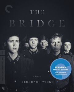 The Bridge (Criterion Collection)