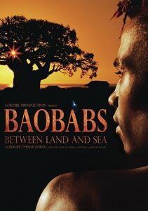 Baobabs Between Land and Sea