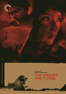 The Cranes Are Flying (Criterion Collection) , Alexander Shvorin