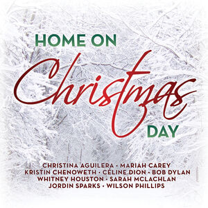 Home On Christmas Day (Various Artists)
