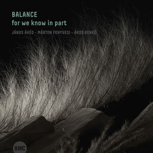 For We Know In Part , Balance