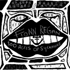100 Acres Of Sycamore , Fionn Regan