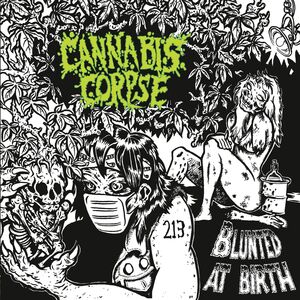 Blunted At Birth