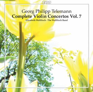 Complete Violin Concertos 7 , The Wallfisch Band