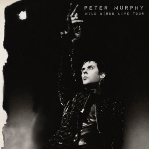 Wild Birds Live Tour , Peter Murphy