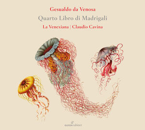 Quarto Libro Di Madrigali , La Venexiana