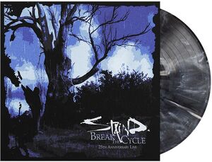 Break The Cycle , Staind
