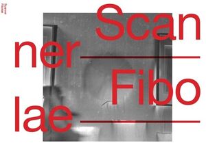 Fibolae , Scanner