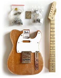 Axe Heaven Fender Telecaster Build Your Own Miniature Guitar Replica Collectible Model Kit FG-571