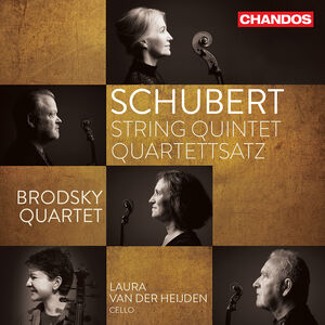 String Quintet / Quartettsatz , Laura van der Heijden