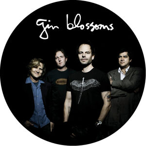 Live In Concert , Gin Blossoms