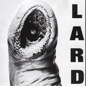 Power Of Lard - White , Lard
