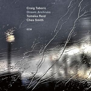 Dream Archives , Craig Taborn