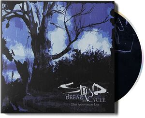 Break The Cycle , Staind