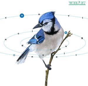 Convincing Delusional