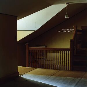 Yellow House , Grizzly Bear