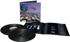 A Momentary Lapse Of Reason , Pink Floyd