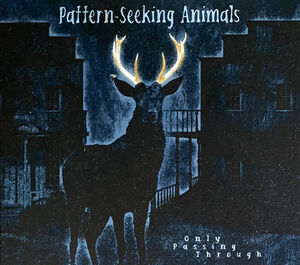 Only Passing Through (Limited Edition) [Import] , Pattern-Seeking Animals