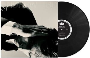 Inside Problems , Andrew Bird