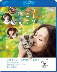 Gugu Datte Neko De Aru - Special Edition [Import]