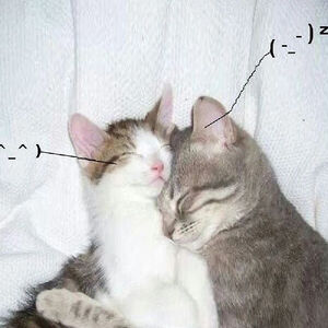 i love you so! , Retail Drugs