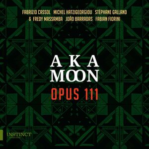 Opus 111 , AKA Moon