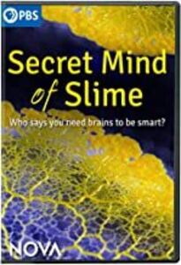 NOVA: Secret Mind of Slime